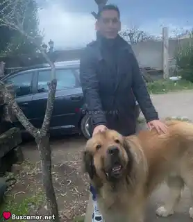 Foto perfil