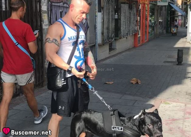 642326584 - Entrenador personal madrileño