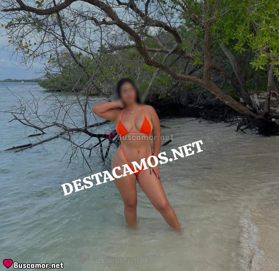 Foto perfil