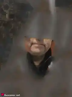 663337851 - Soy tierno para ti