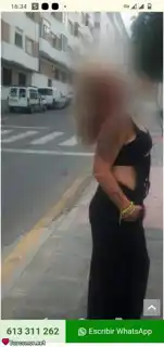 613311262 - soy Alba y busco un amor