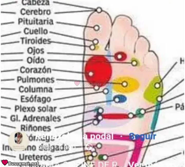 656661982 - Soy una madurita muy guapa. me encanta dar masajes. me encantan las cositas ricas.