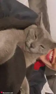 678685229 - helena toogras ama sonreir
