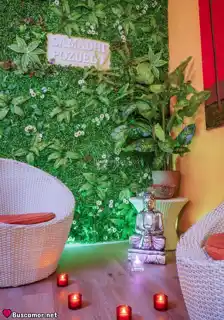 Foto perfil