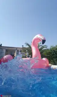 Foto perfil
