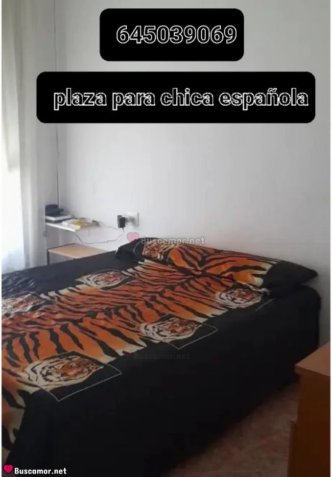 Foto perfil