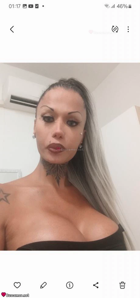 643462709 - busco trans lujo
